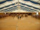 Thumbs/tn_Tohrn western event 025.jpg